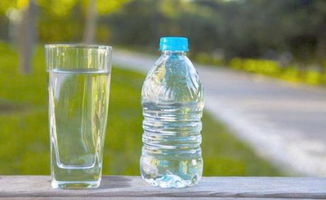 饮用水浇花 不同水种的利弊分析与实用建议